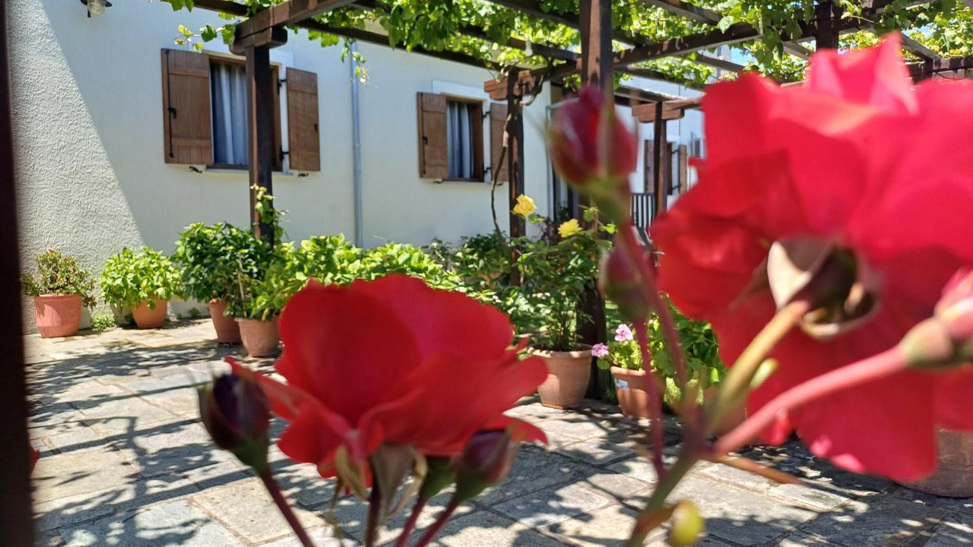 Olga Studios Tsagarada Exterior photo
